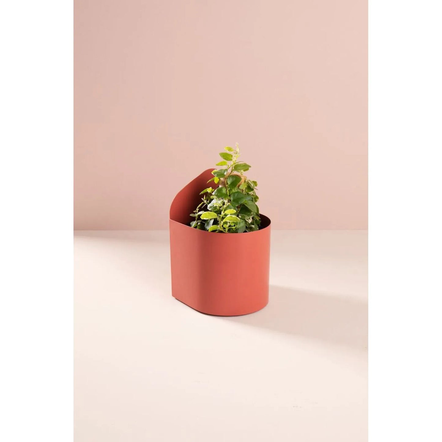 terracotta cachepot book holder